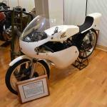 DSC_0081_00038 (October 07, 2023)